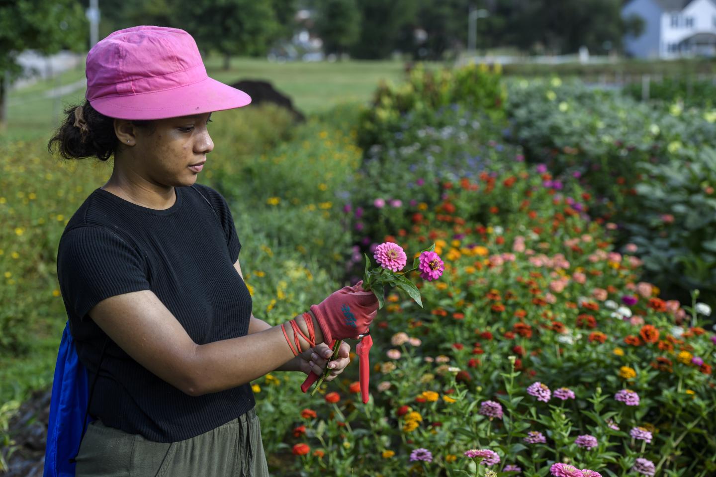 Wearing a pink hat and red gardening gloves, Johns Hopkins student Angelica Brooks prunes flowers