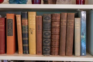 A bookshelf holds 12 vintage books from Milton and Ingrid Rose’s collection featuring vertical book spines in pale shades of red, orange, brown, tan, yellow and blue.