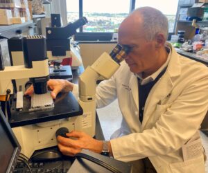 Johns Hopkins hematologist professor Robert Brodsky wears a white lab coat as he sits and looks into a microscope